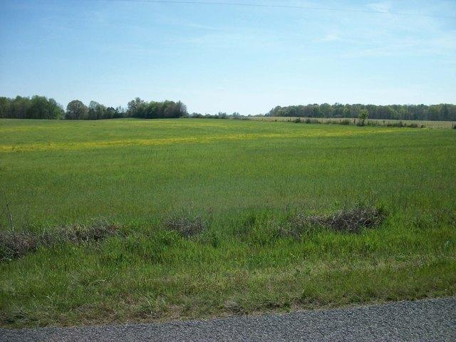 Farm for sale in Tennessee