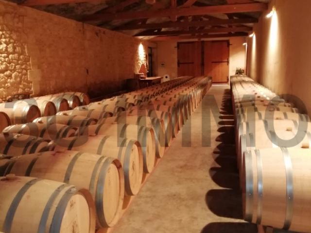 Château vente à Blaye