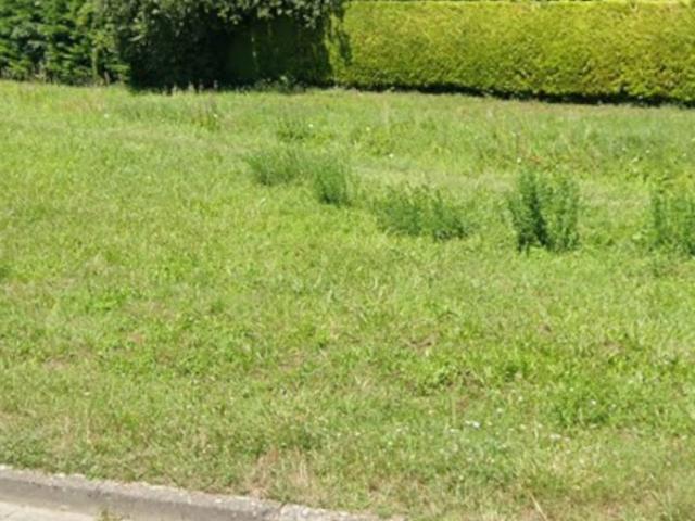 Terrain vente à France métropolitaine, Blaye