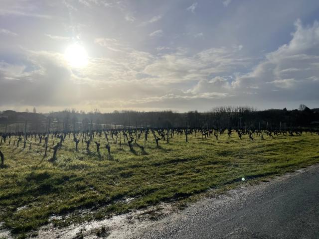 Terrain vente à Blaye