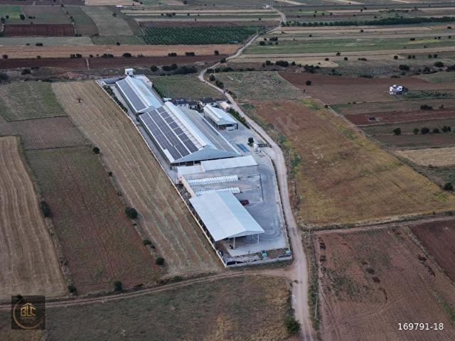 Korkuteli, Antalya içerisinde satılık Fabrika
