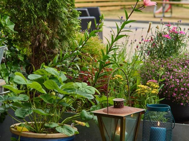 Bostadsrätt till salu i Botkyrka, Stockholm