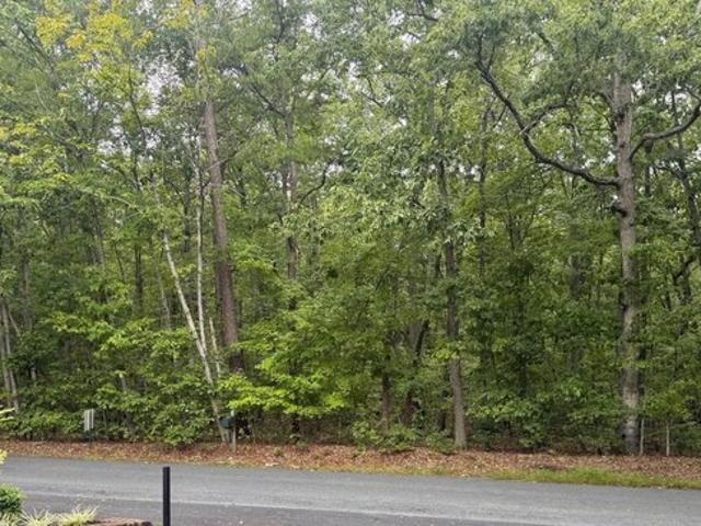 Land for sale in Stony Point, Scottsville