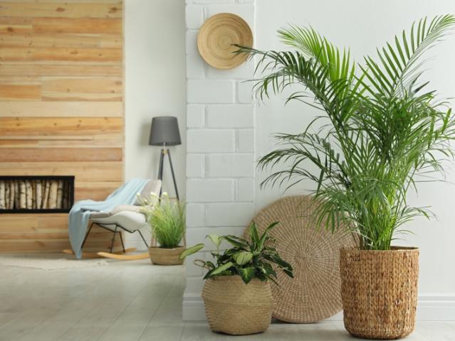 Appartement vente à Dax, Soustons
