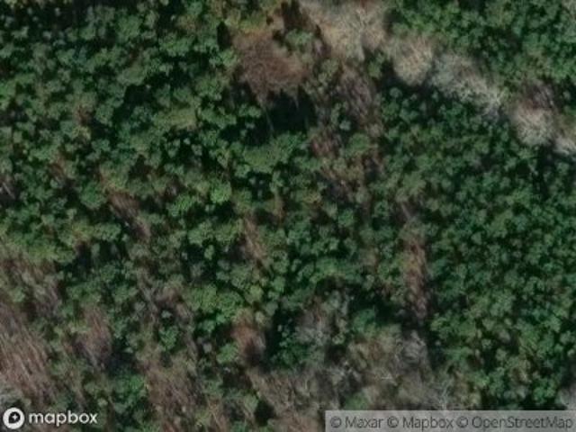 Farm for sale in Cope, Orangeburg County