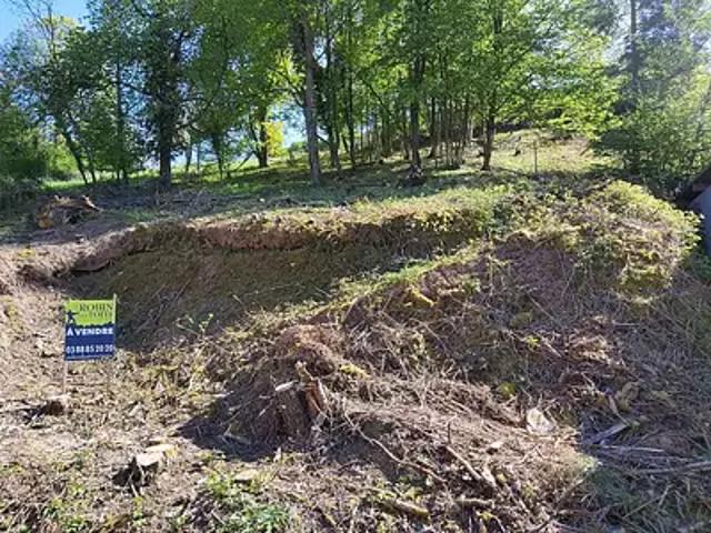 Terrain vente à Sélestat-Erstein, Blienschwiller