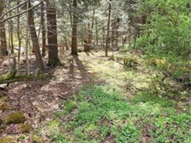 Land for sale in Milford, New York