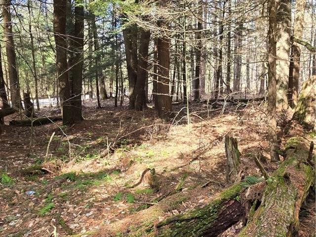 Land for sale in Milford, New York