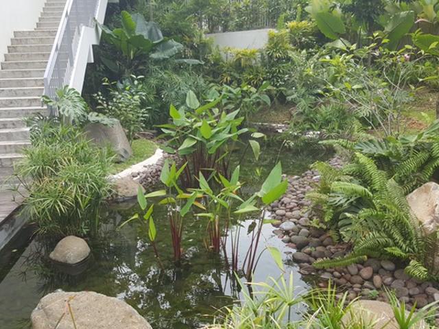 Condominium for rent