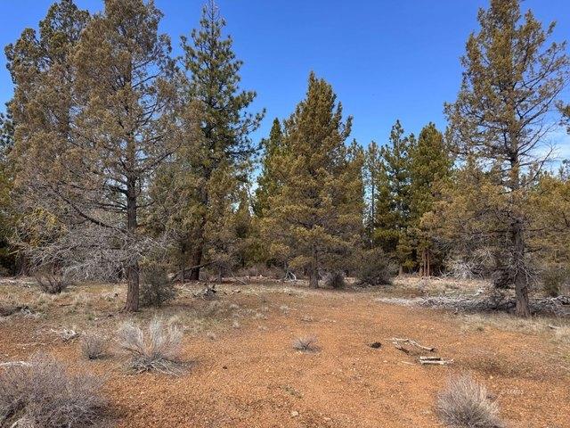 Land for sale in Oregonia