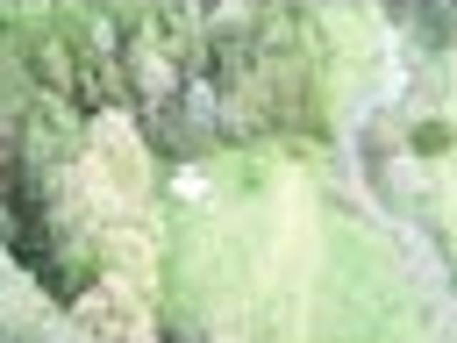 Land for sale in Karetu, Northland