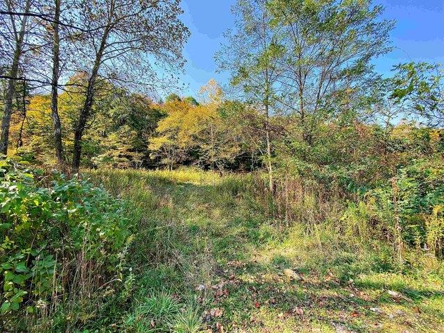Land for sale in Harman, West Virginia