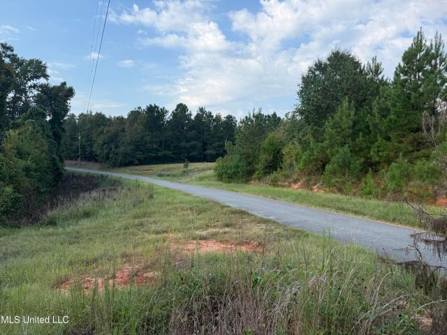 Land for sale in Meridian, Mississippi