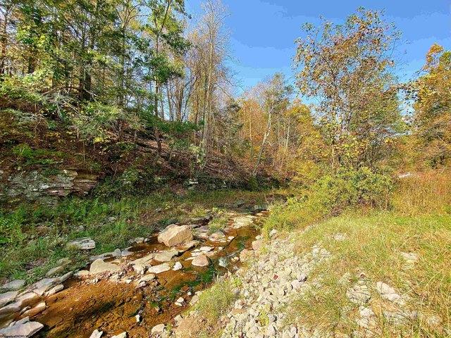 Land for sale in Harman, West Virginia