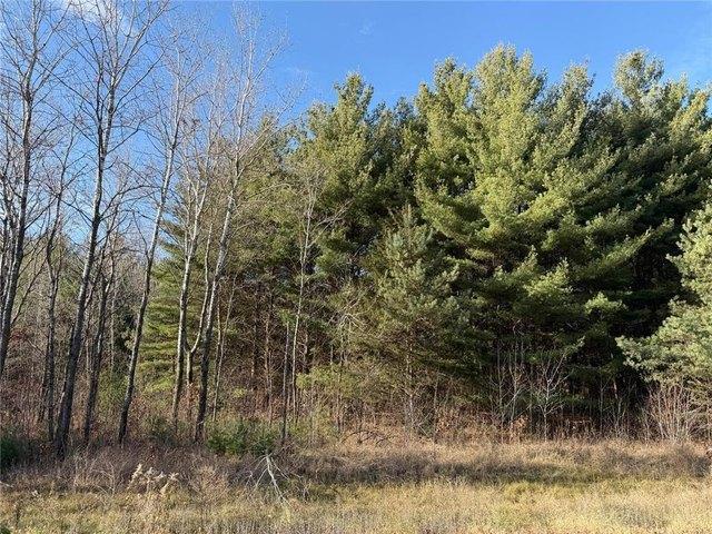 Land for sale in Big Lake, Minnesota