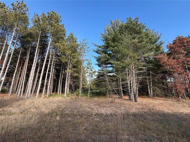 Land for sale in Big Lake, Minnesota