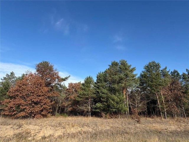 Land for sale in Big Lake, Minnesota