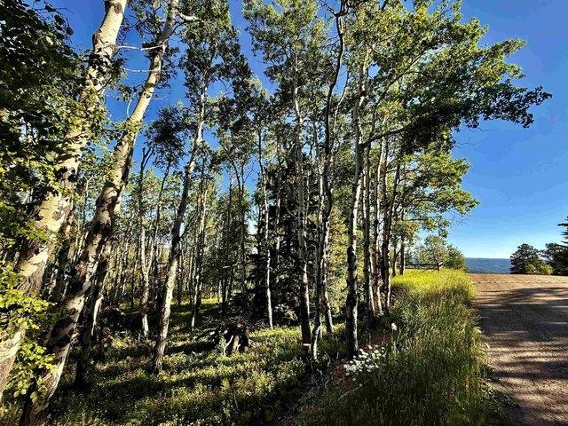 Land for sale in Lead, Lawrence County