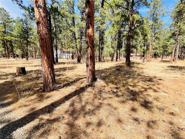Land for sale in Weston, Colorado