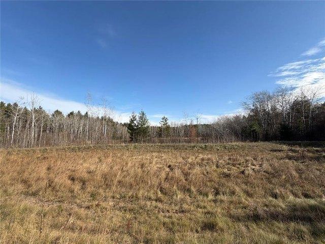 Land for sale in Big Lake, Minnesota