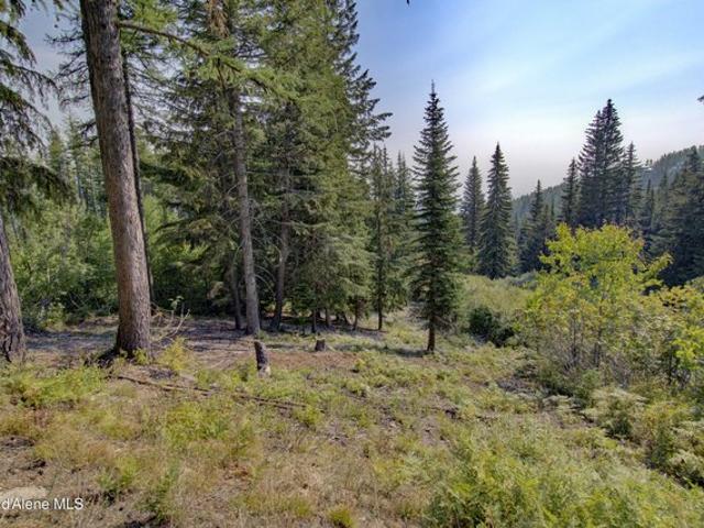 Land for sale in Sandpoint, Idaho