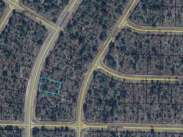 Land for sale in Chipley, Florida