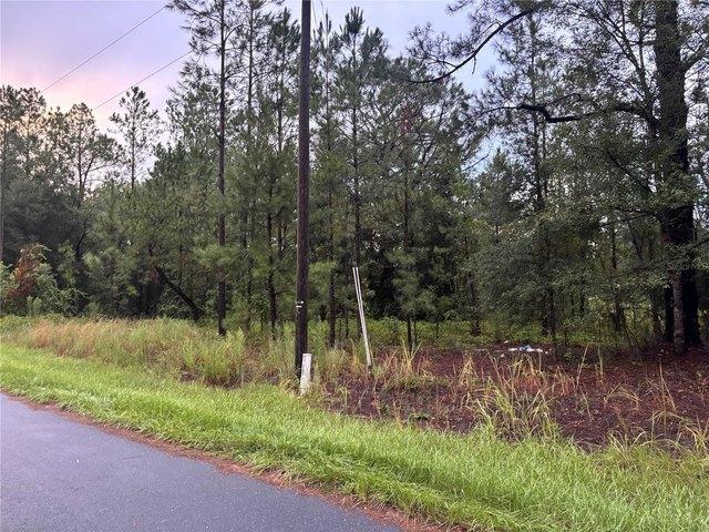 Land for sale in Ocala, Florida