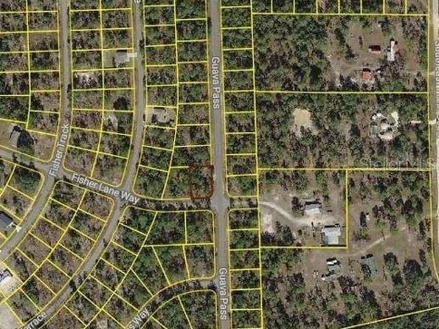 Land for sale in Ocklawaha, Marion County