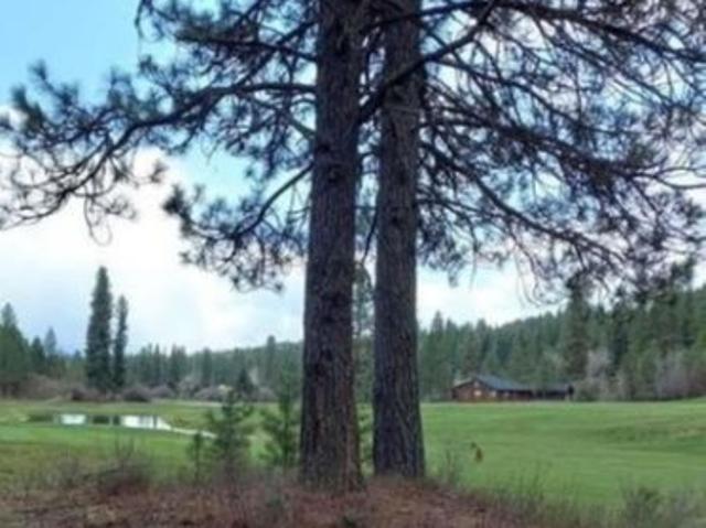 Land for sale in New Meadows, Idaho