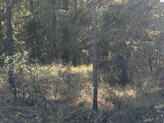 Land for sale in Rathdrum, Kootenai County