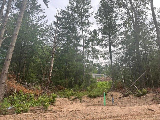Land for sale in Morrison, Minnesota