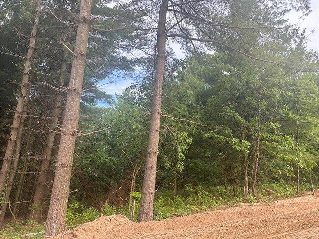 Land for sale in Morrison, Minnesota