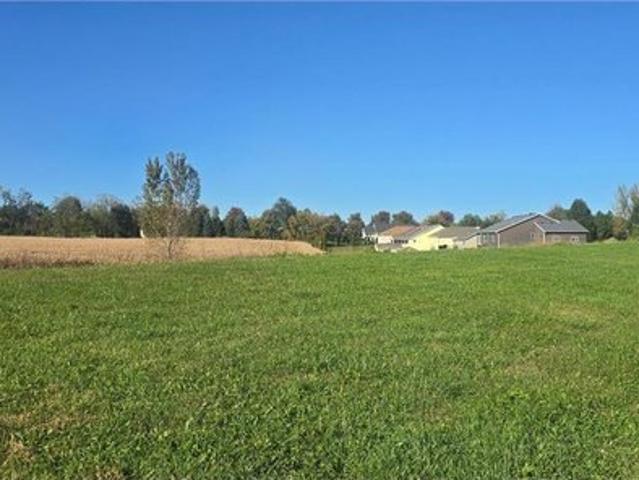 Land for sale in Harmony, Minnesota