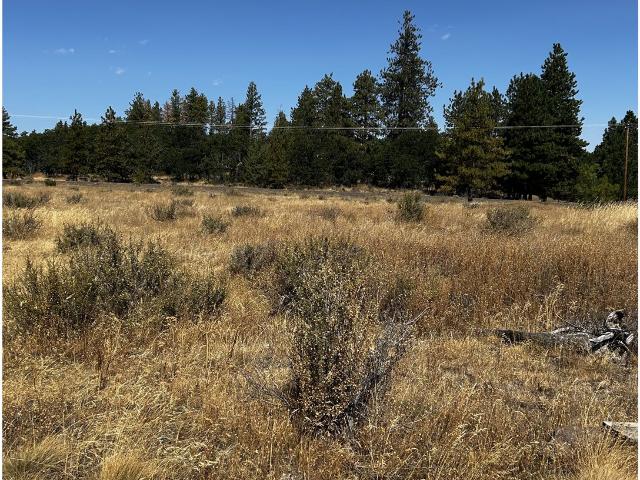 Land for sale in Washington