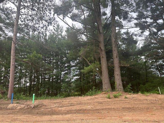 Land for sale in Morrison, Minnesota