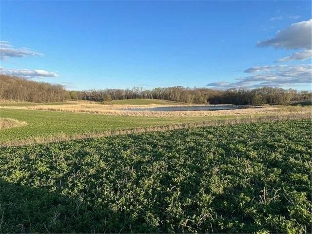 Land for sale in Pelican Rapids, Minnesota