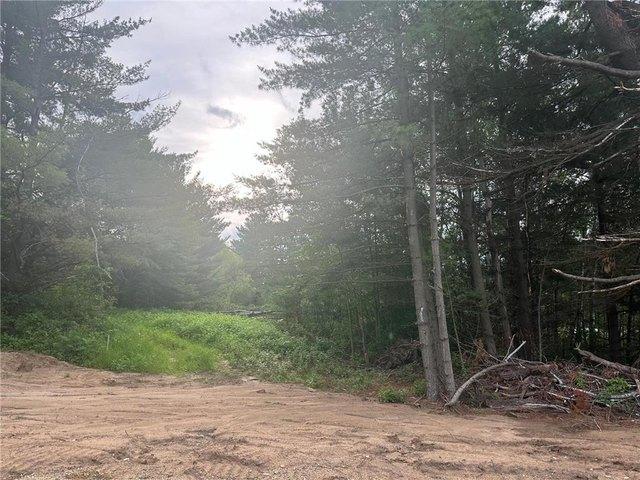 Land for sale in Morrison, Minnesota