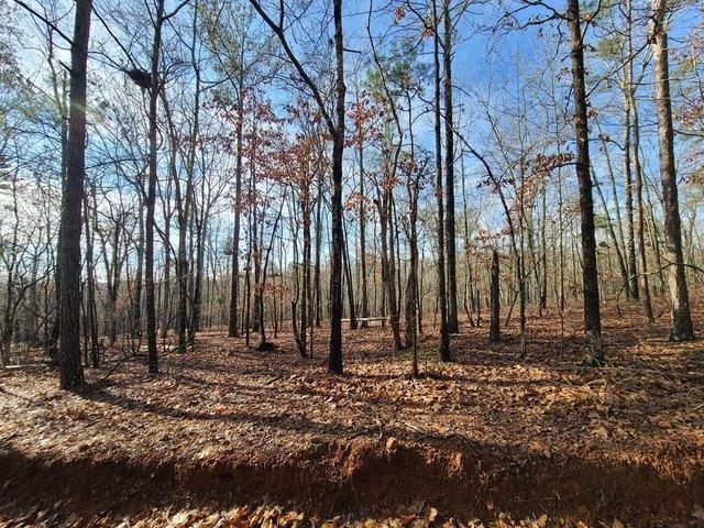 Land for sale in Waverly Hall, Georgia
