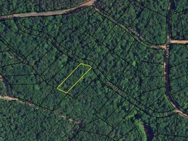Land for sale in Waverly Hall, Georgia
