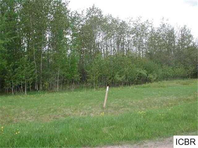 Land for sale in Deer River, Minnesota