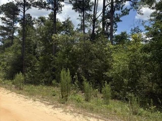 Land for sale in Marianna, Florida