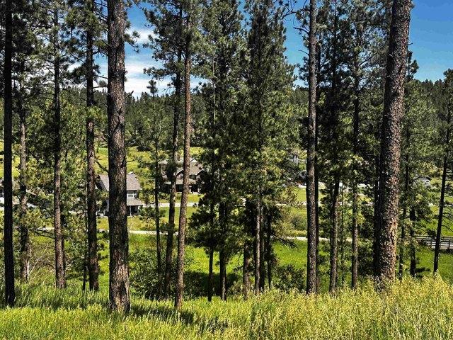 Land for sale in Hill City, South Dakota