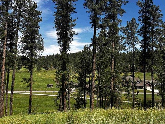 Land for sale in Hill City, South Dakota