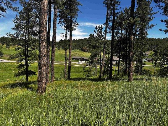 Land for sale in Hill City, South Dakota