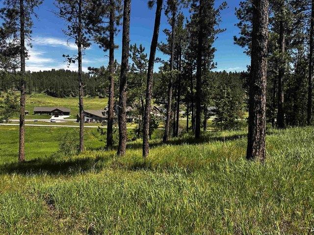 Land for sale in Hill City, South Dakota