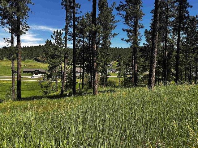 Land for sale in Hill City, South Dakota
