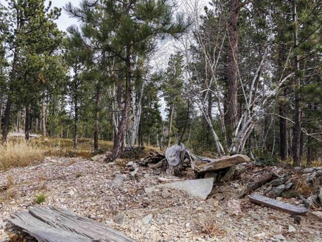 Land for sale in Lead, Lawrence County