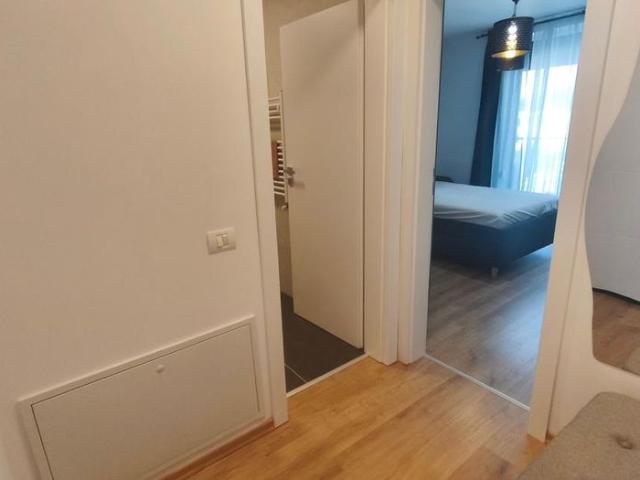 Apartament închirieri în Timisoara, Timiș