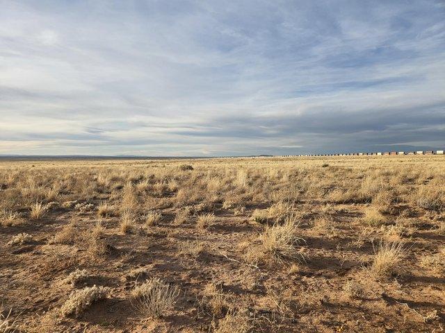 Land for sale in Belen, Valencia County