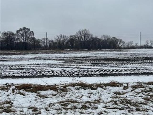 Land for sale in Randolph, Minnesota